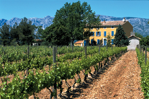 french wine estates