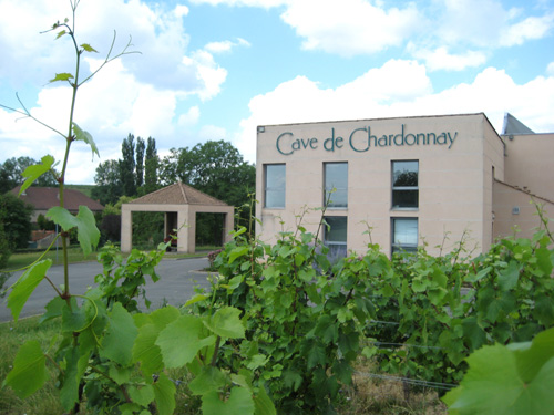 french winery
